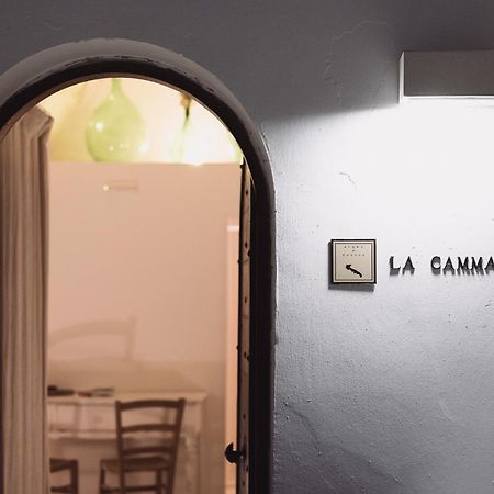 La Cammara Al Duomo Lecce Luxury Apartment 외부 사진